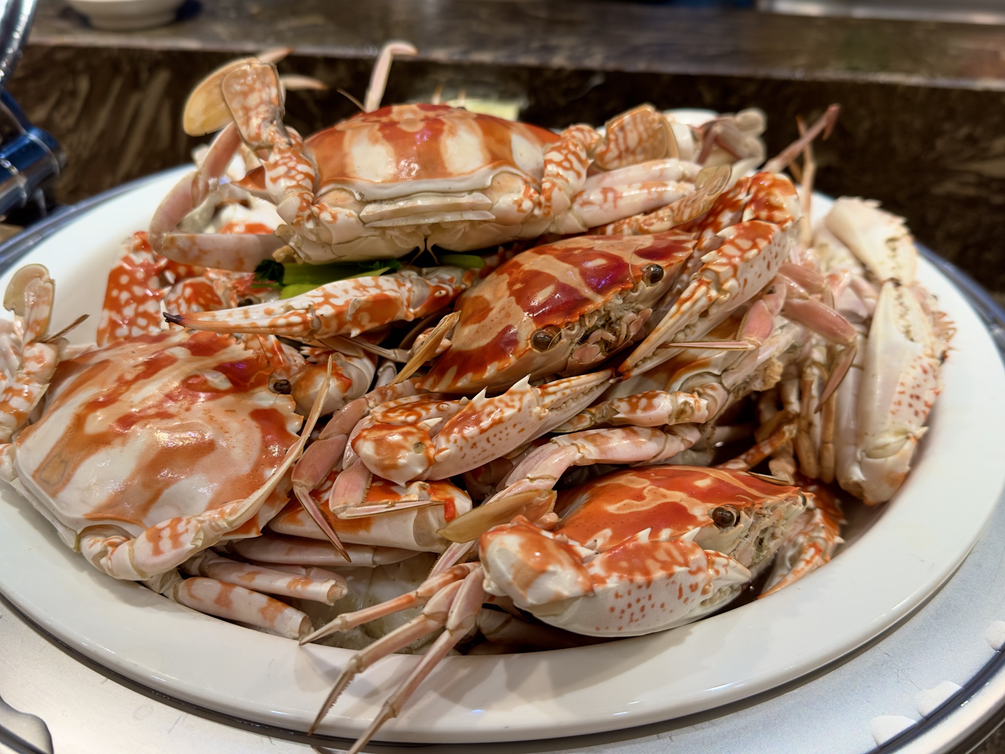 622919149_122158975130942817_8127003362095454994_n